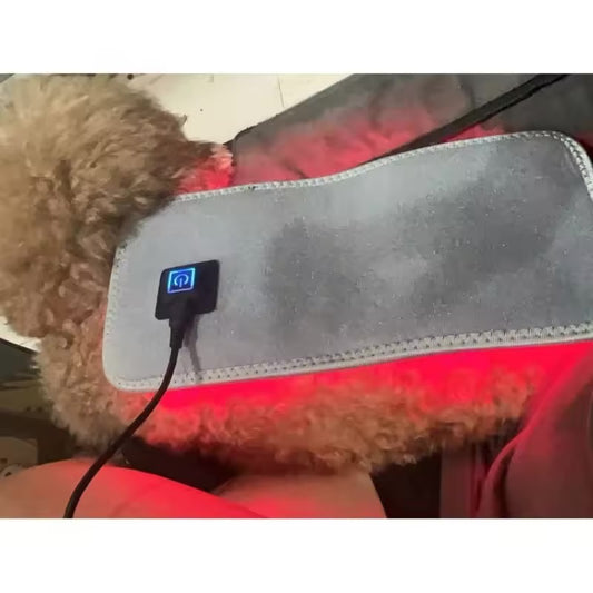 Pet Care Infrared Red Light Therapy Belt Wrap - Maison Novaire