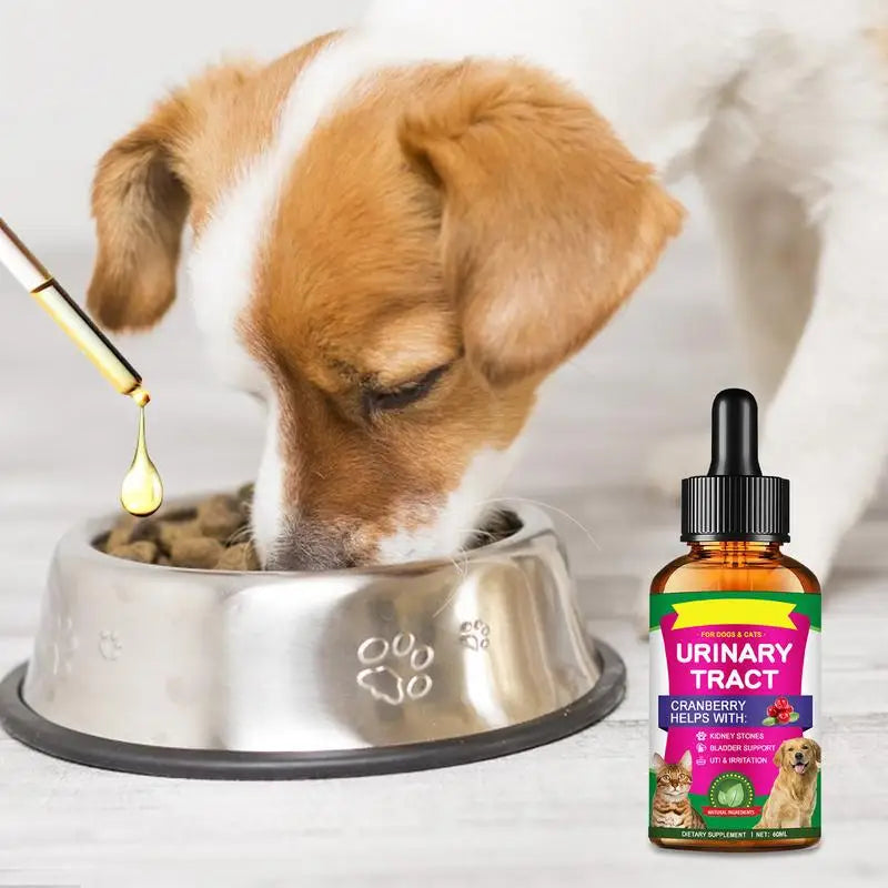 Pet UTI Treatments | Cat Bladder Drops for Urinary Care