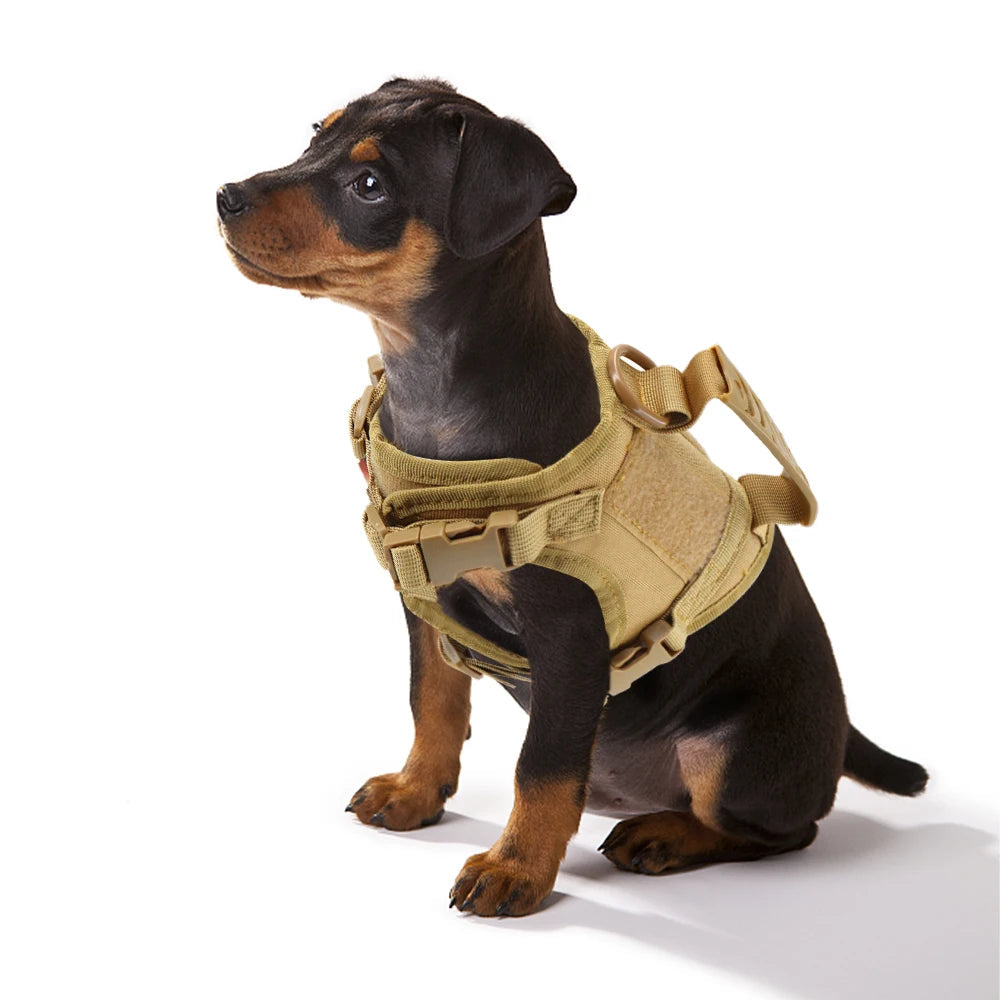 Puppy Harness Leash For Small Dogs & Cats. - Maison Novaire #