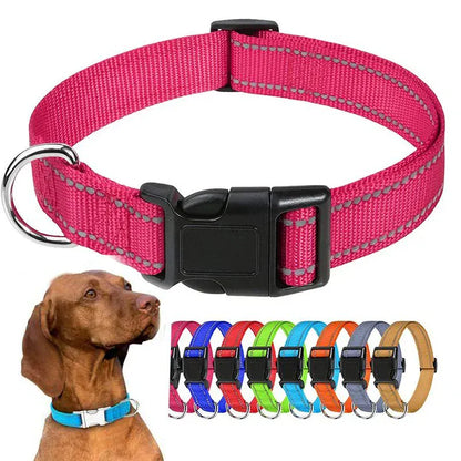 Puppy Neck Collars. - Maison Novaire #