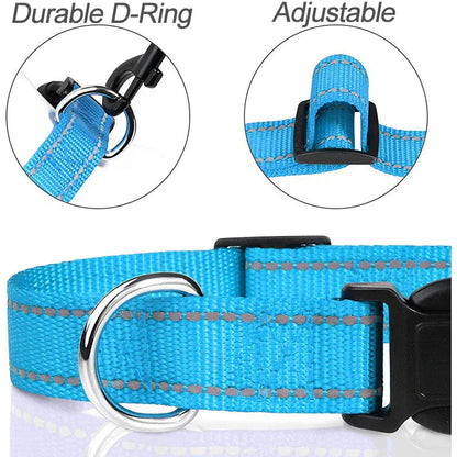 Puppy Neck Collars. - Maison Novaire #