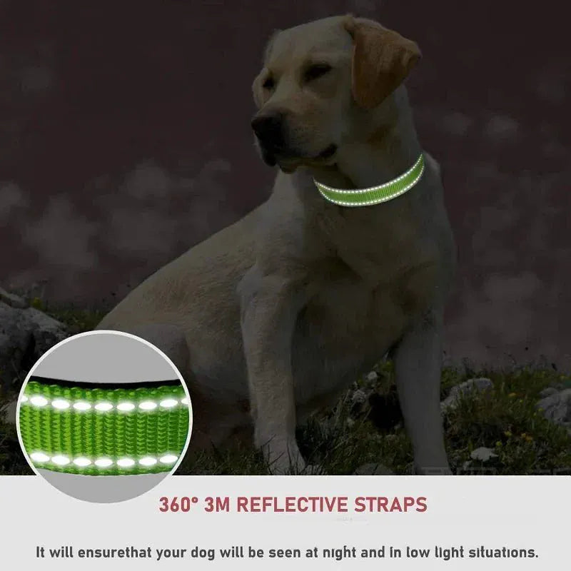Puppy Neck Collars. - Maison Novaire #