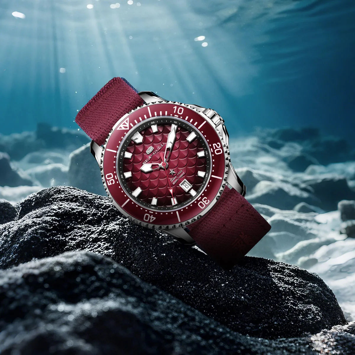 Seagull Dragon King Diver Watch