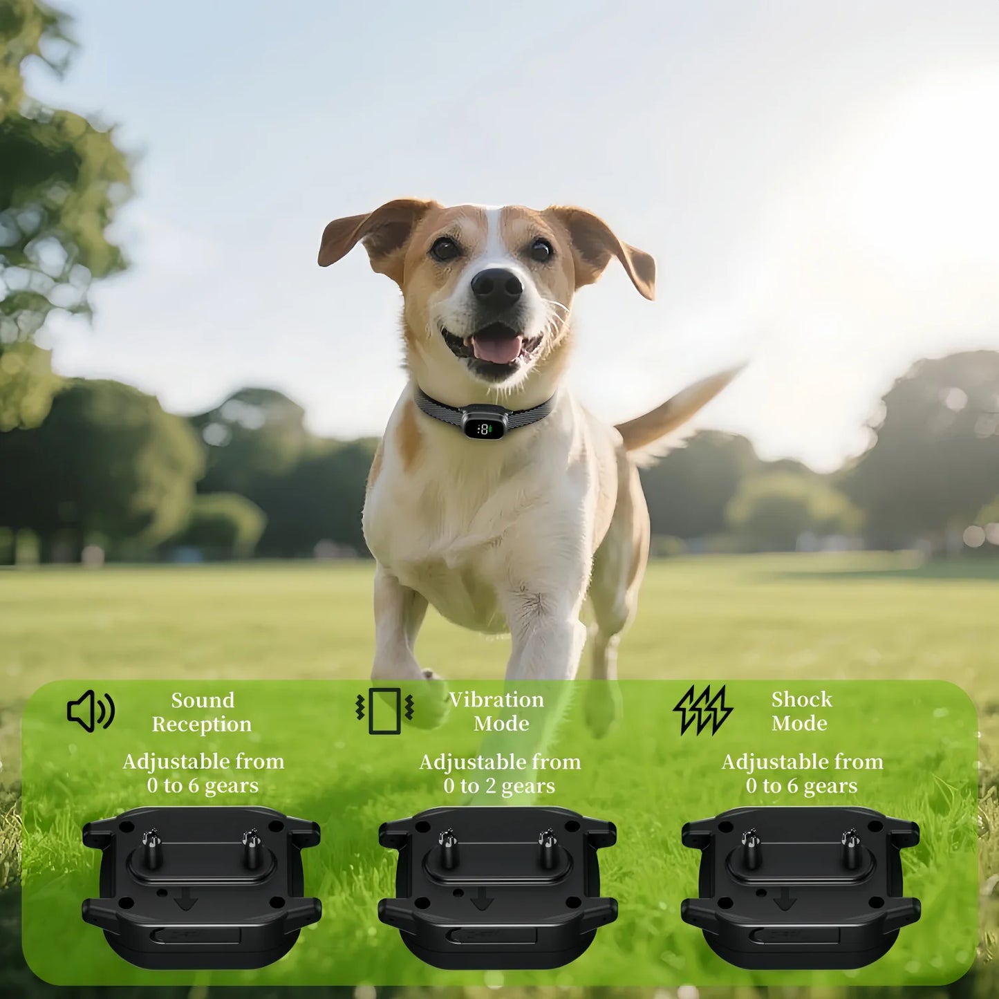 Pet Dog Anti-Barking Device | Ultrasonic Vibration Training Collar