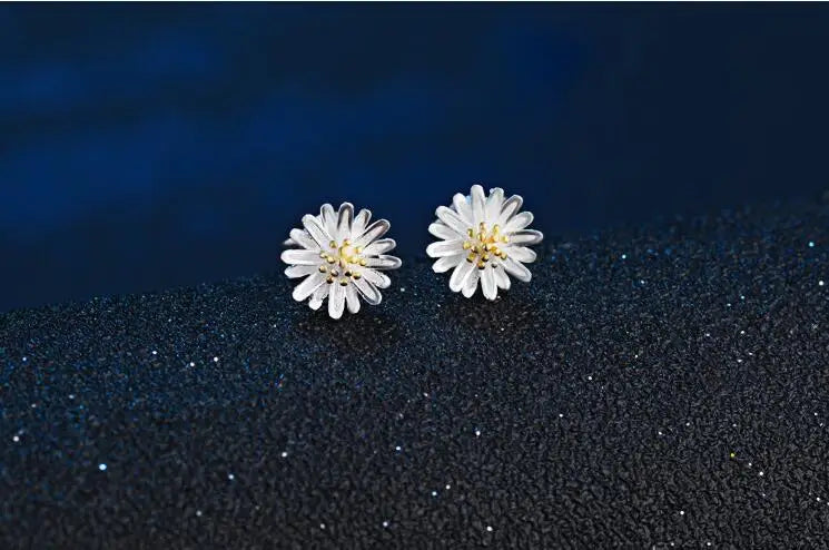 Silver Stud Earrings 925 For Women - BLAKESTORE-NG