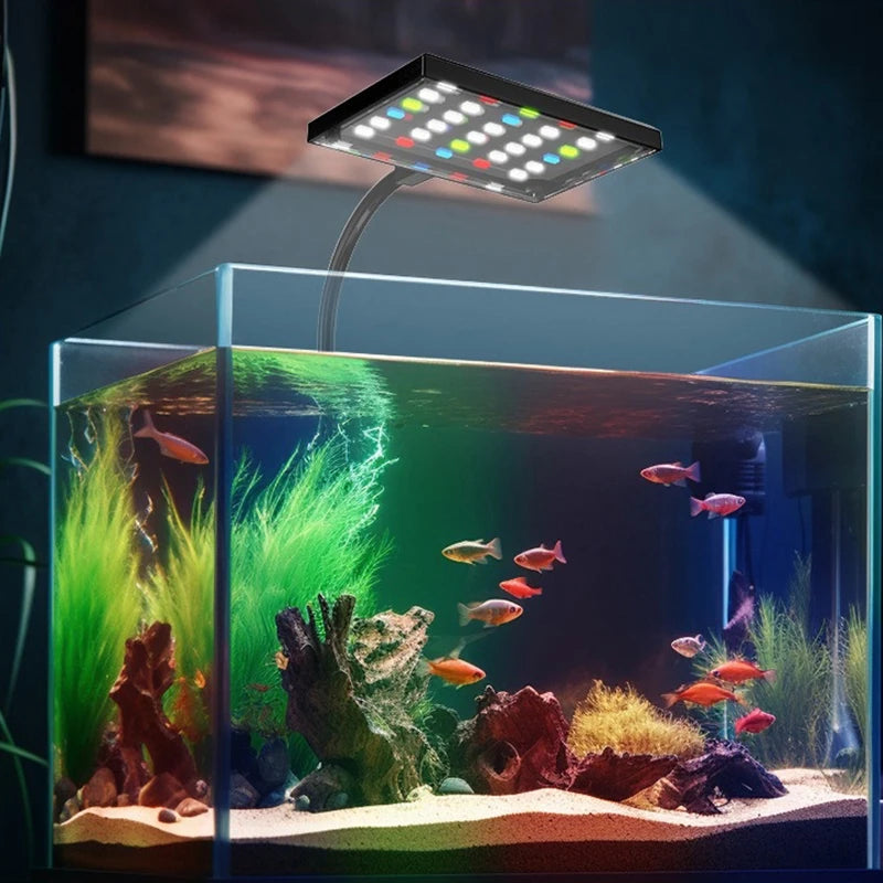 Super Bright Aquarium LED light. - Maison Novaire