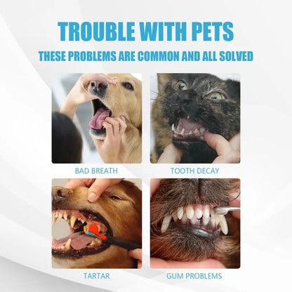 Toothpaste for Dogs & Cats. - Maison Novaire #