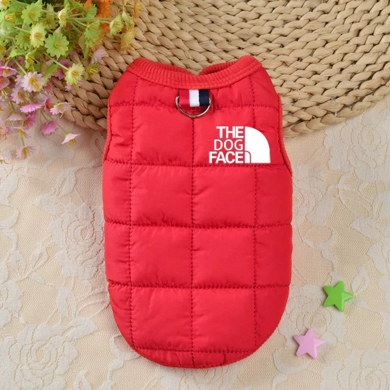Trendy Winter Dog Clothes. - Maison Novaire