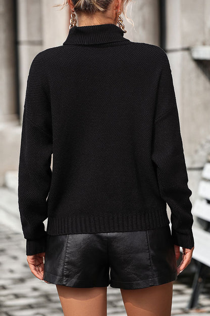 Turtle Neck Tassel Front Long Sleeve Pullover Sweater - Maison Novaire #