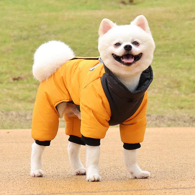 Waterproof Winter Dog Jacket - Maison Novaire #