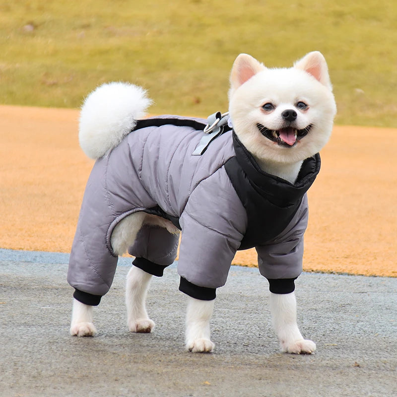 Waterproof Winter Dog Jacket - Maison Novaire #