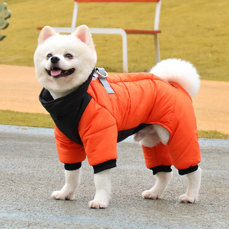 Waterproof Winter Dog Jacket - Maison Novaire #