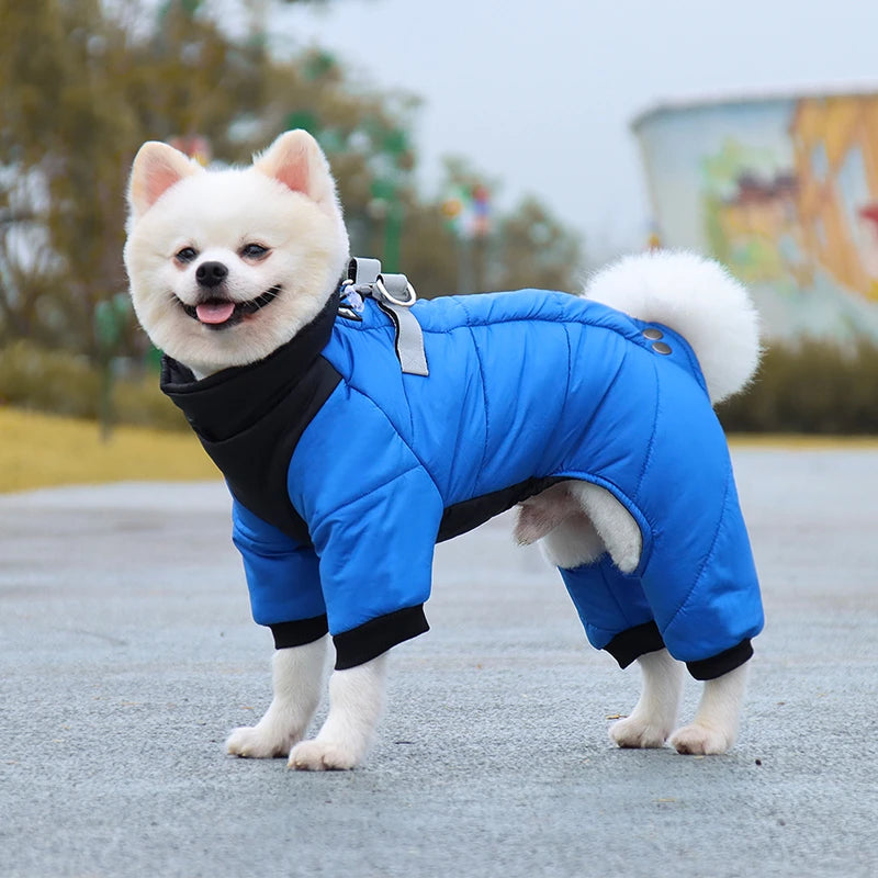 Waterproof Winter Dog Jacket - Maison Novaire #
