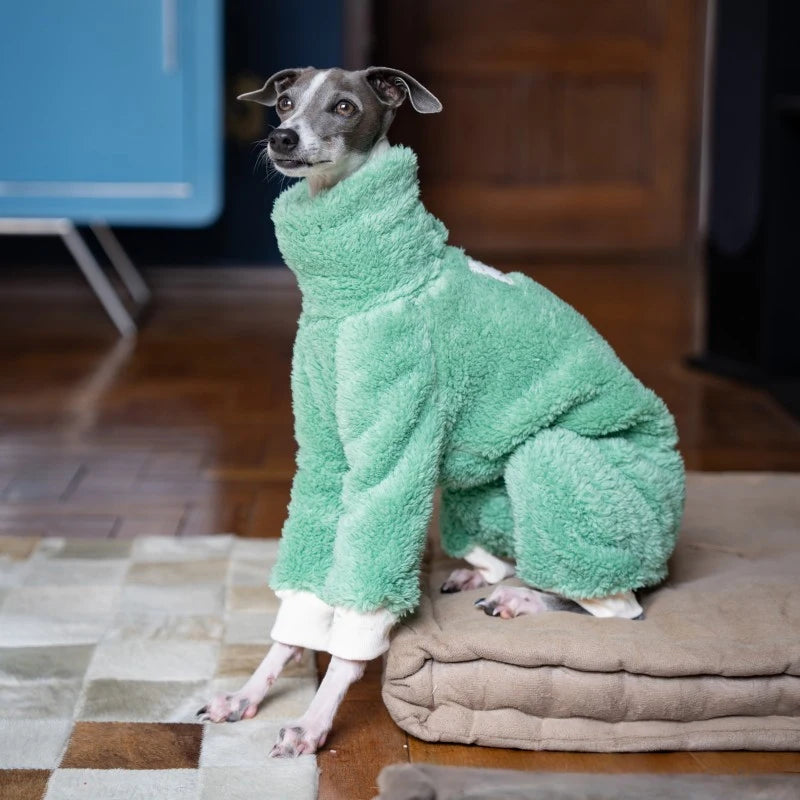 Whippet & Italian Greyhound Fleece Turtleneck Jacket – Warm Winter Dog Jumper - Maison Novaire