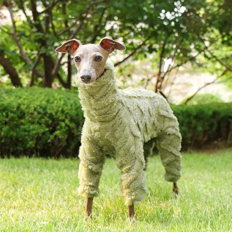 Whippet & Italian Greyhound Fleece Turtleneck Jacket – Warm Winter Dog Jumper - Maison Novaire