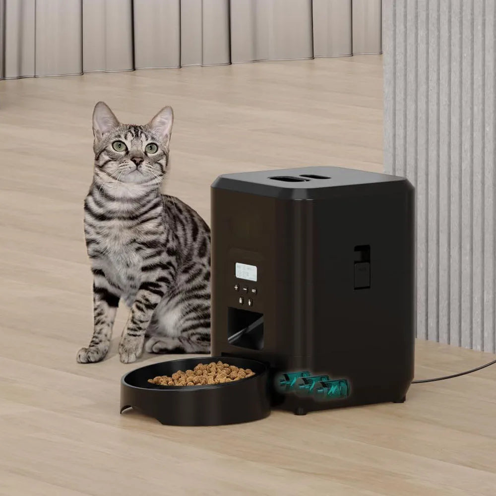 WiFi enabled Pet Feeder. - Maison Novaire