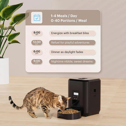 WiFi enabled Pet Feeder. - Maison Novaire