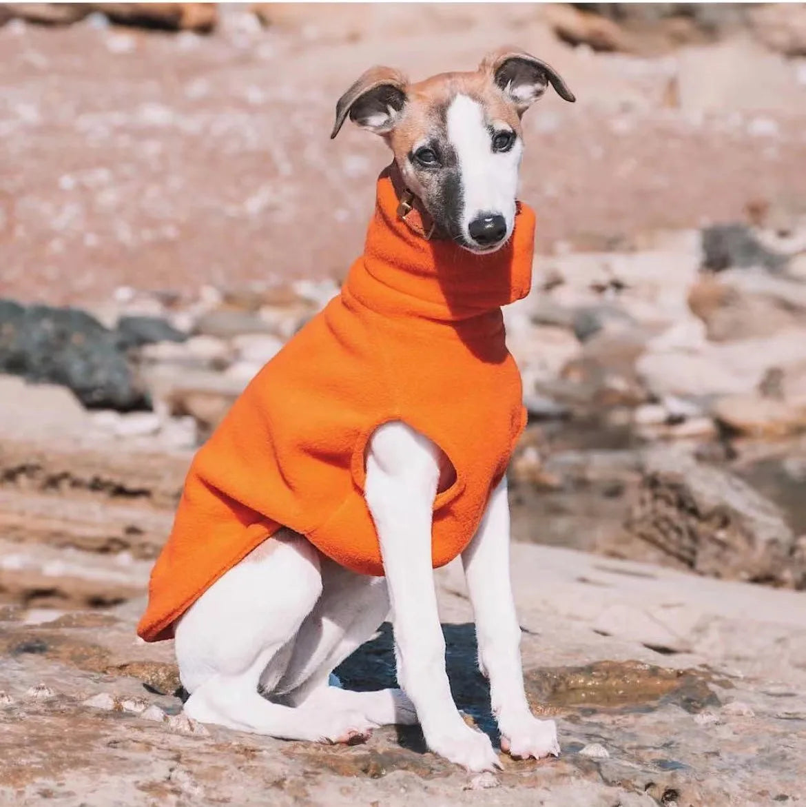 Winter Fleece Whippet Vest – Italian Greyhound Turtleneck Dog Clothes - Maison Novaire #