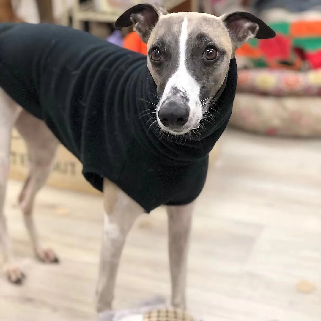 Winter Fleece Whippet Vest – Italian Greyhound Turtleneck Dog Clothes - Maison Novaire #
