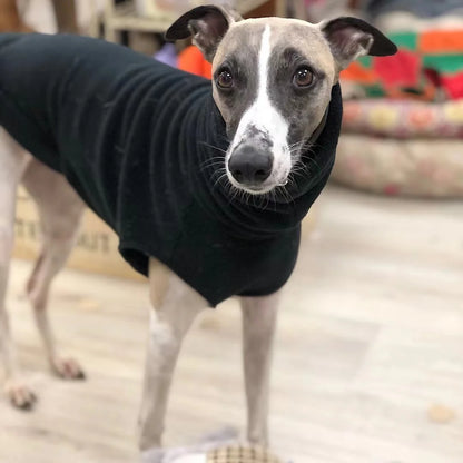 Winter Fleece Whippet Vest – Italian Greyhound Turtleneck Dog Clothes - Maison Novaire #