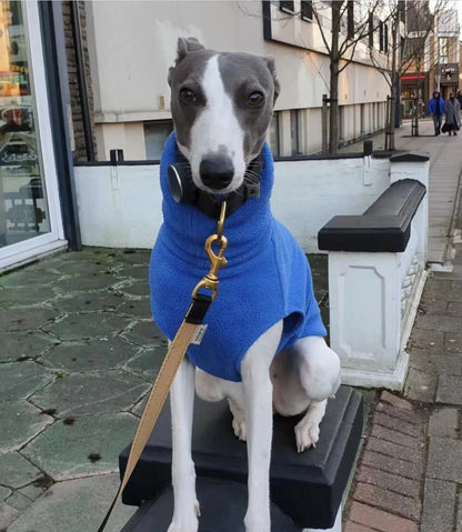 Winter Fleece Whippet Vest – Italian Greyhound Turtleneck Dog Clothes - Maison Novaire #